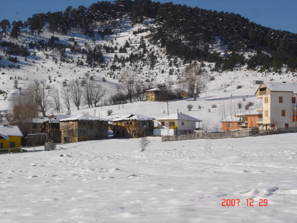 ETKİNLİK RESİMLERİ